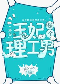 王妃是個理工男