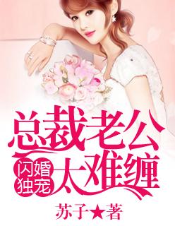 閃婚獨寵:總裁老公太難纏
