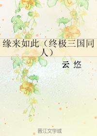 緣來如此(終極三國同人)