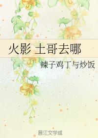 火影 土哥去哪