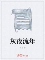 灰夜流年