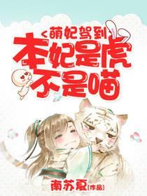 萌妃駕到:本妃是虎不是喵