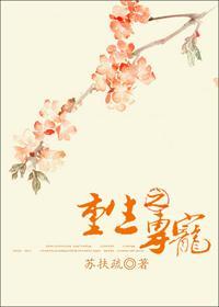 重生之專寵