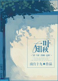 (全職)一葉知秋