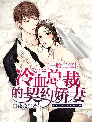 一胎二寶:冷血總裁的契約嬌妻