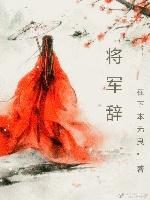 将軍辭