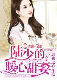 婚前婚後,陸少的暖心甜妻