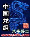 中國龍組