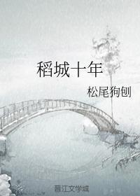 稻城十年