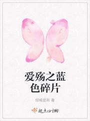 愛殇之藍色碎片