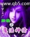 網游之魔法神偷