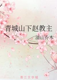 青城山下趙教主