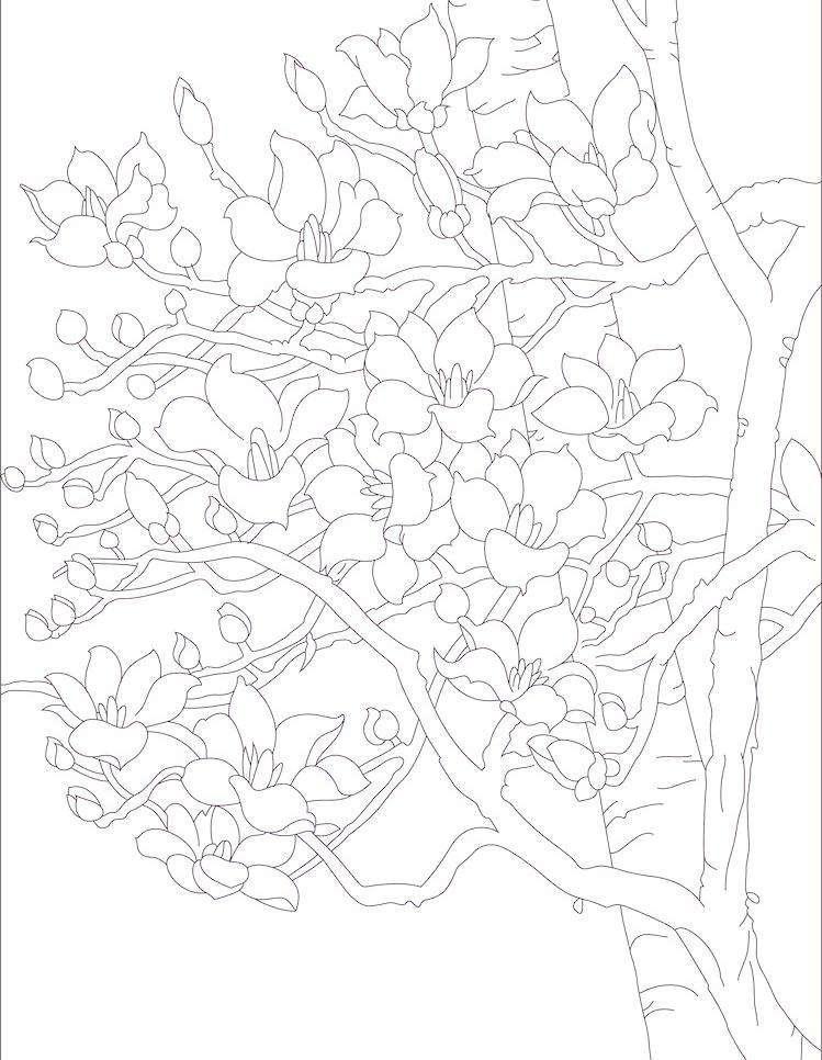 不禁色