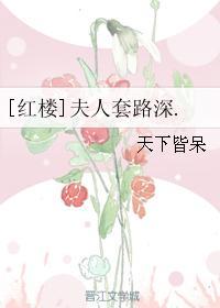[紅樓]夫人套路深.
